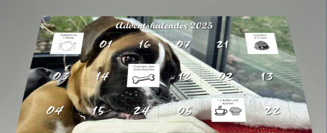 Adventskalender für verein